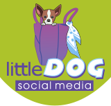 Little Dog Social Media