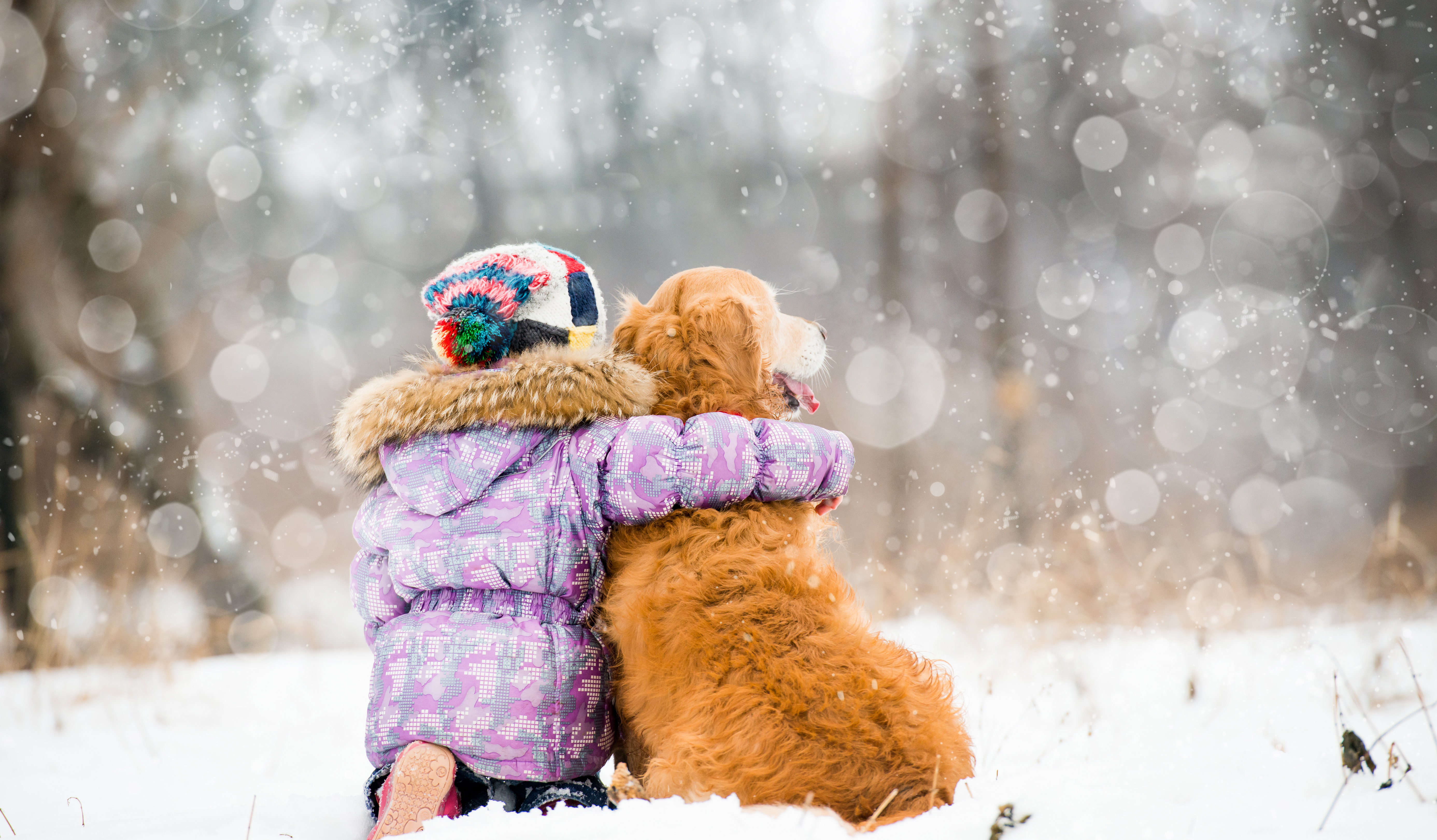 Dog Safety Tips During Winter Months