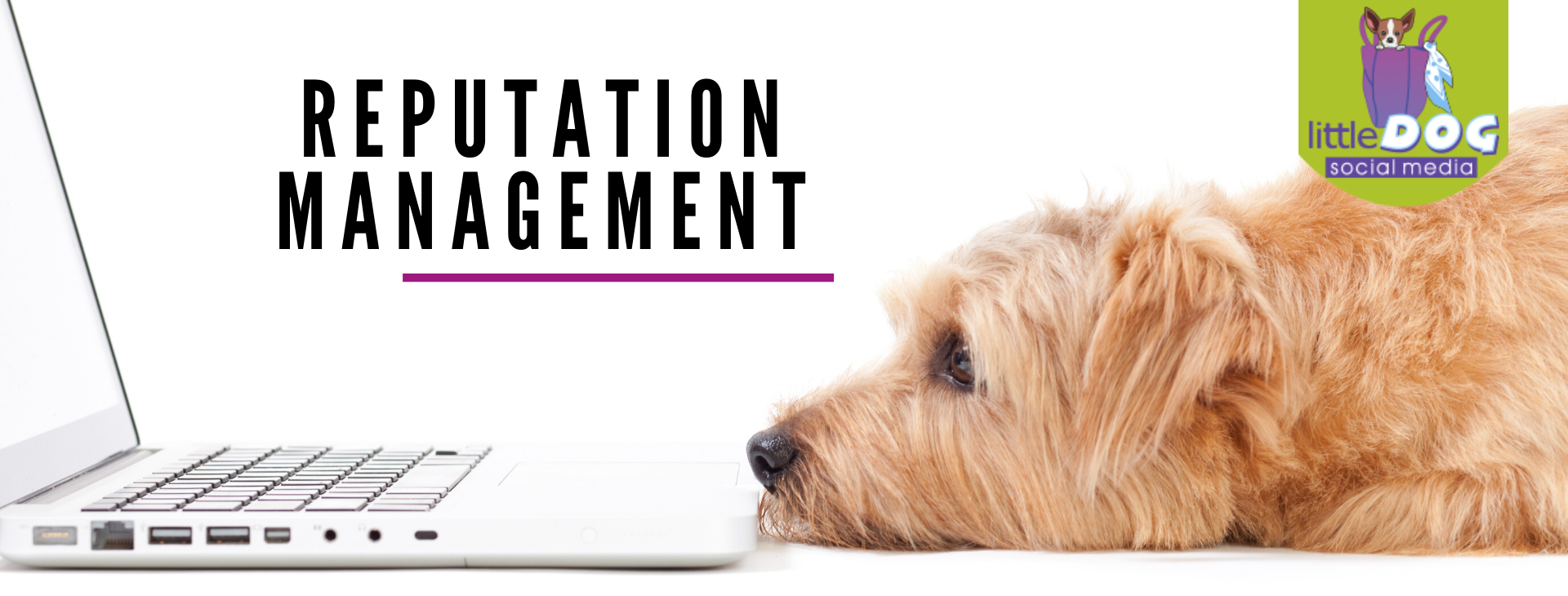 Reputation management