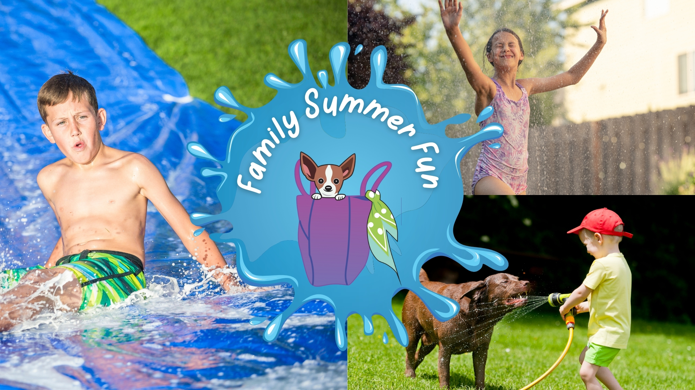 25 Ideas For Summer Fun With Your Dog - Fidose of Reality