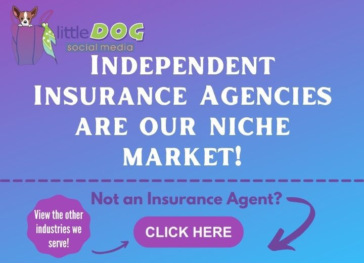 Independent Insurance Agencies Are Our Niche Market!