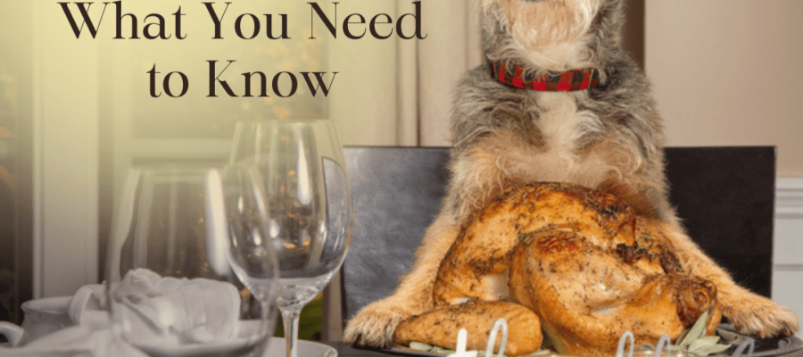 thanksgiving_food_safety_for_dogs!_optimized