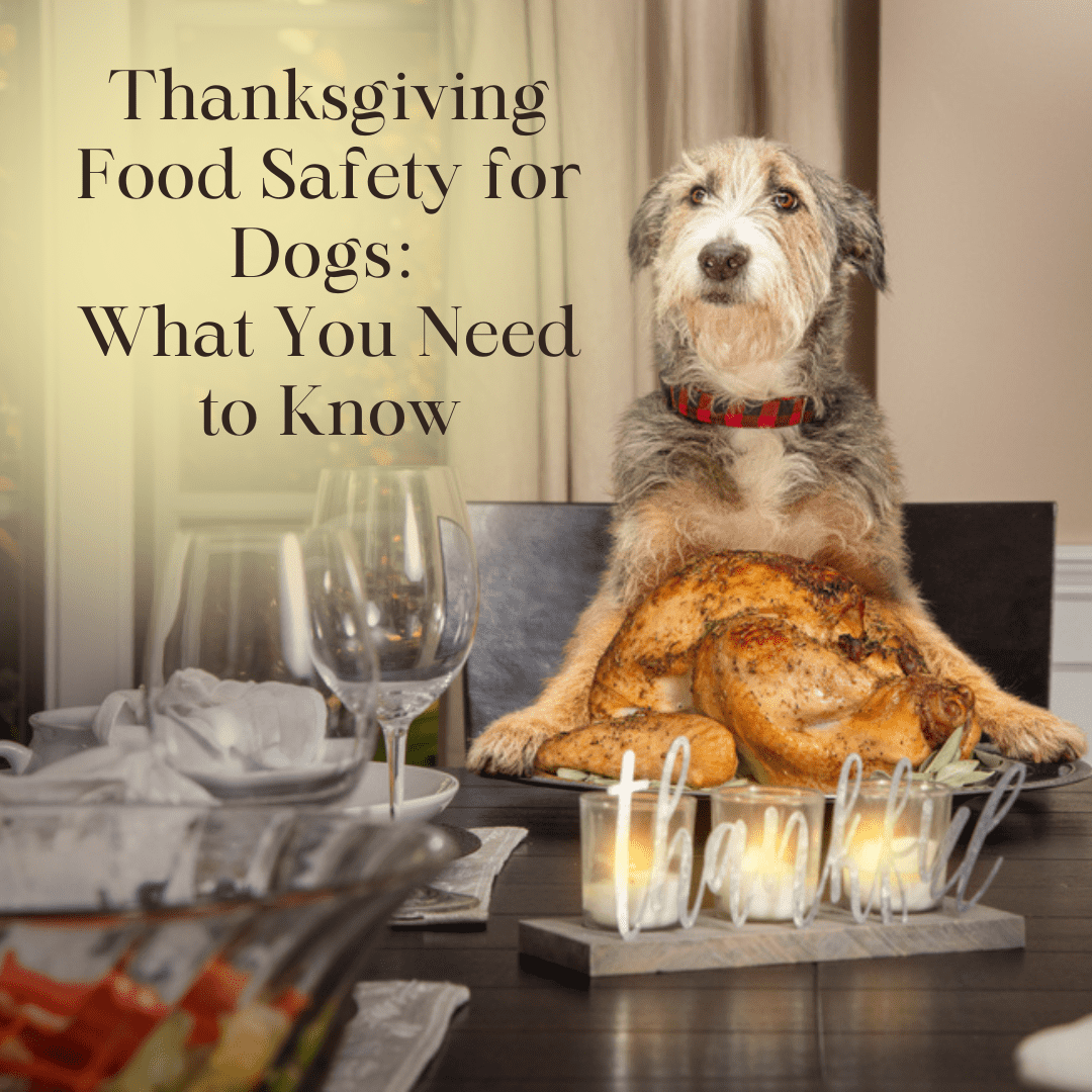 When did thanksgiving become an official holiday in the united states