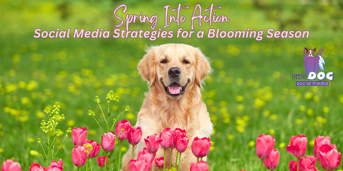 LD_April_Blog_Blooming_Engagement