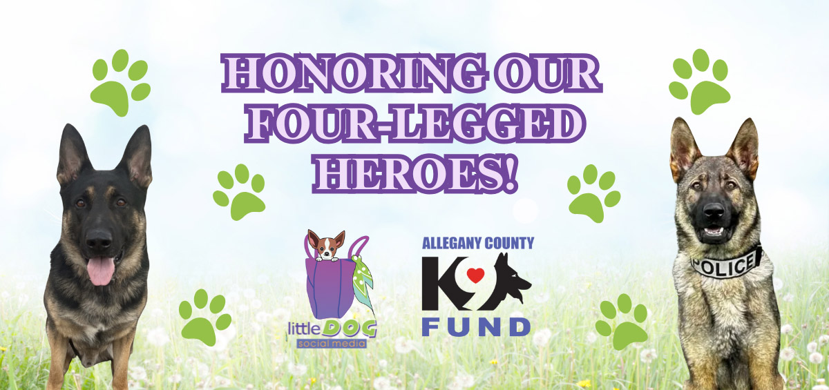 Helping Our Four-Legged Heroes: Little Dog Social Media’s Support for the Allegany County K9 Fund