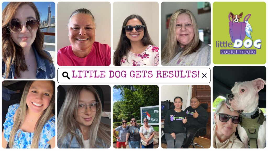 Little Dog gets results