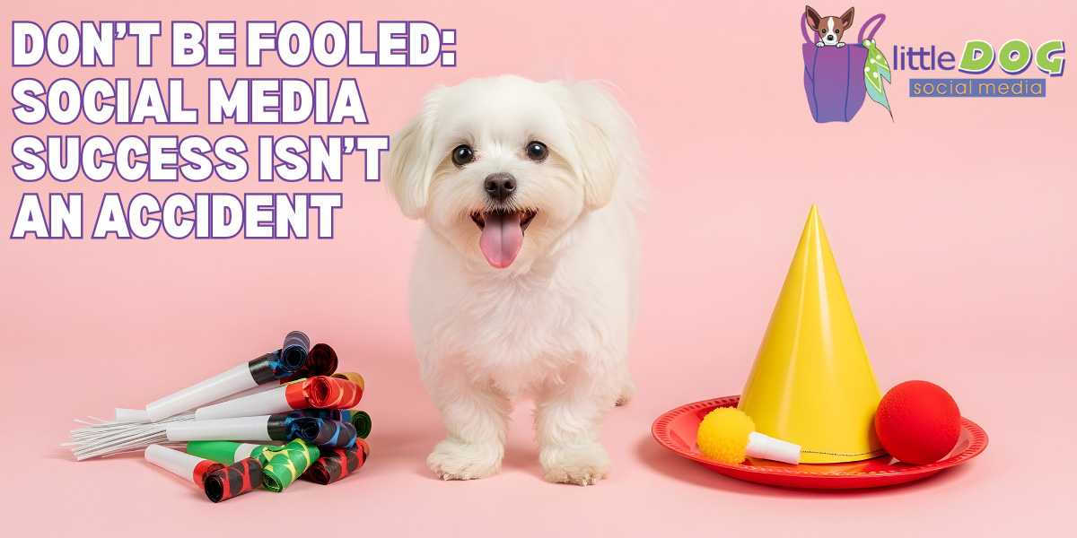 Don’t Be Fooled: Social Media Success Isn’t an Accident