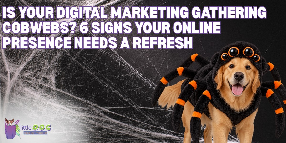 Is Your Digital Marketing Gathering Cobwebs? 6 Signs Your Online Presence Needs a Refresh