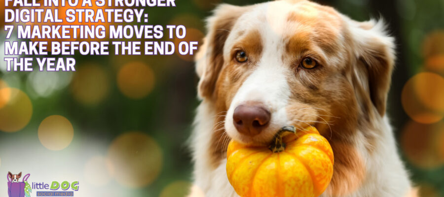Fall Into a Stronger Digital Strategy: 7 Marketing Moves to Make Before the End of the Year