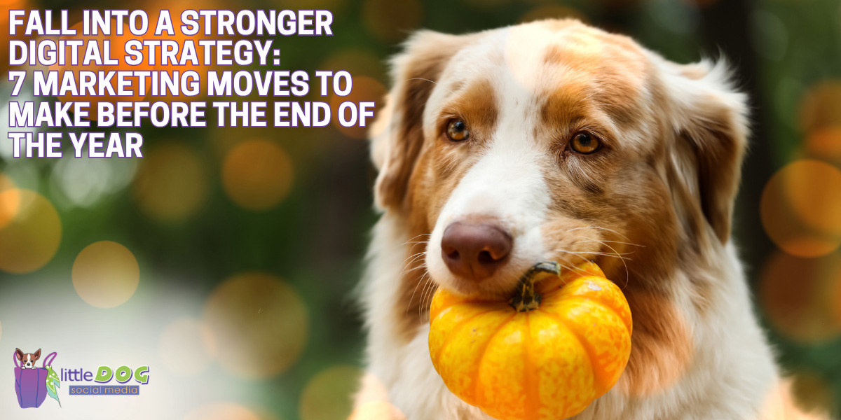 Fall Into a Stronger Digital Strategy: 7 Marketing Moves to Make Before the End of the Year