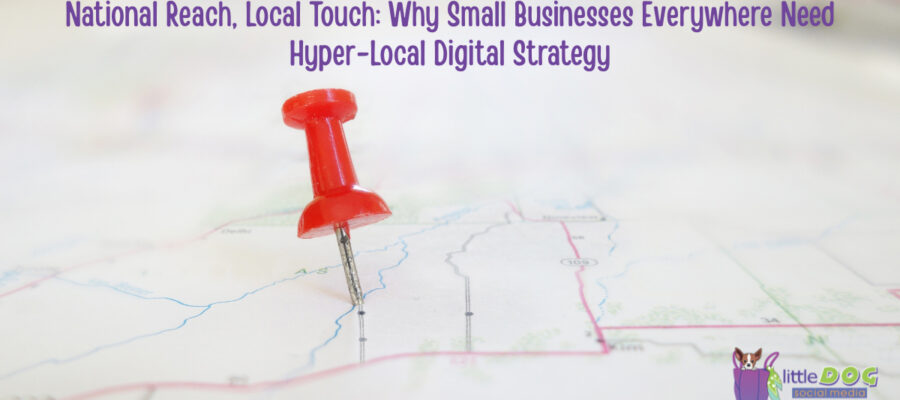 Red pushpin marking a location on a blurred map with text reading "National Reach, Local Touch: Why Small Businesses Everywhere Need Hyper-Local Digital Strategy"